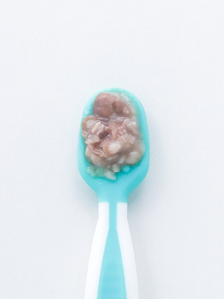 Bebê pode comer feijão preto - Como oferecer na colher