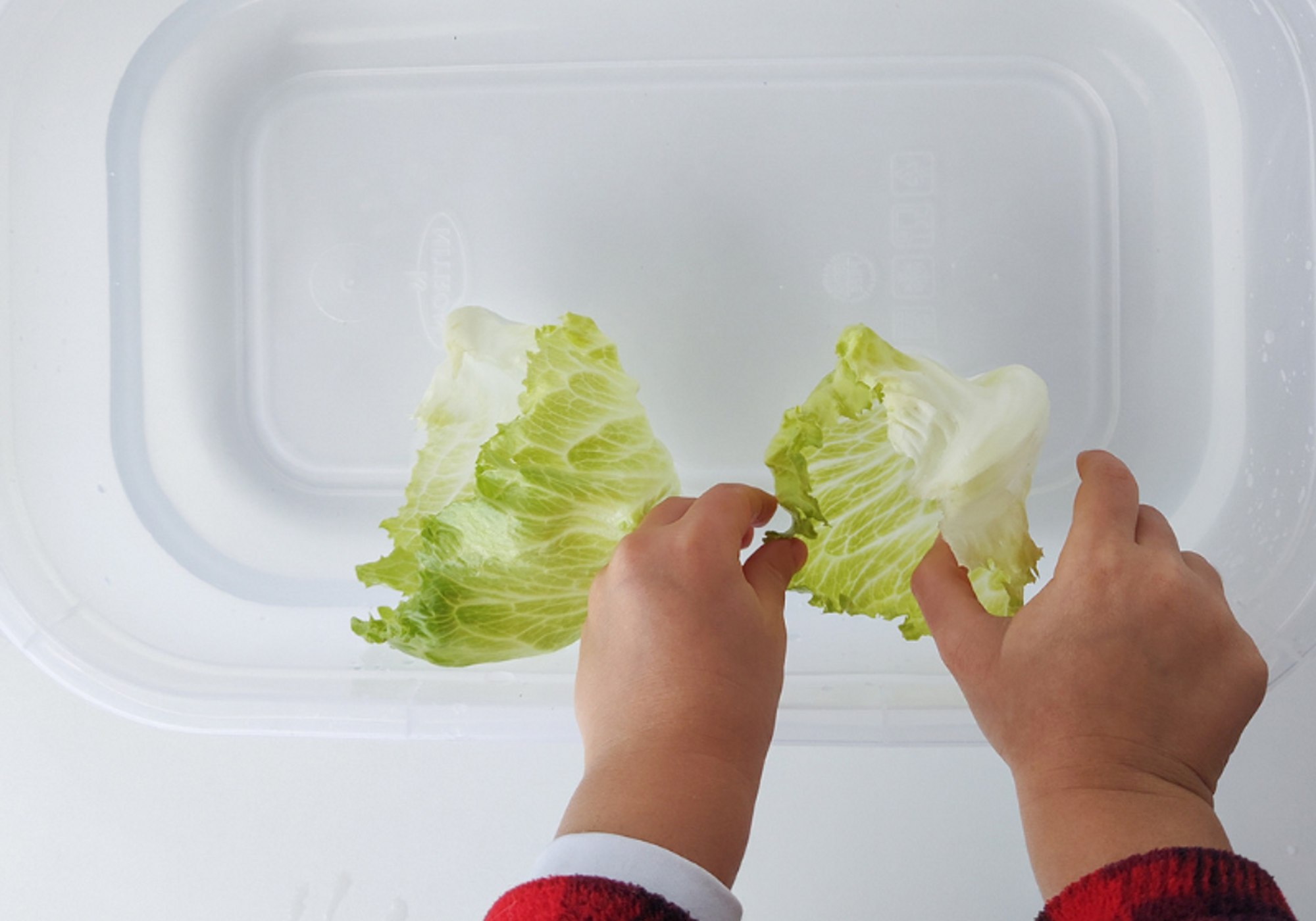 Como incentivar a criança a comer verduras em 3 dicas