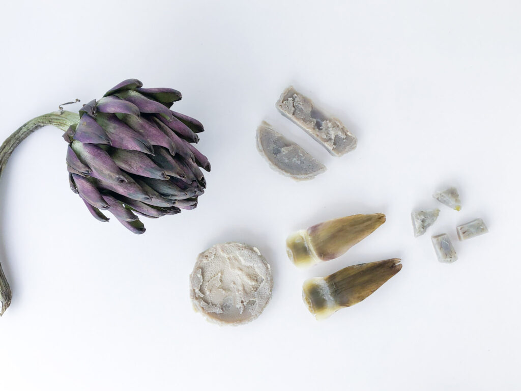 Bebê pode comer alcachofra?