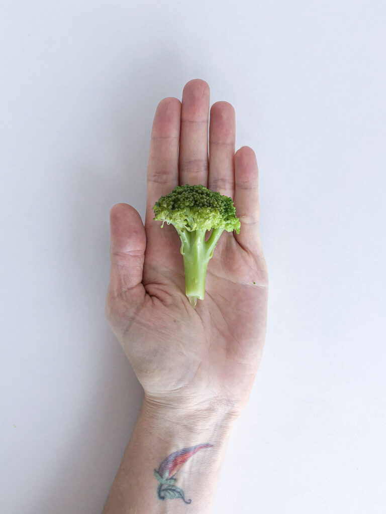 Bebê pode comer brócolis - Como oferecer