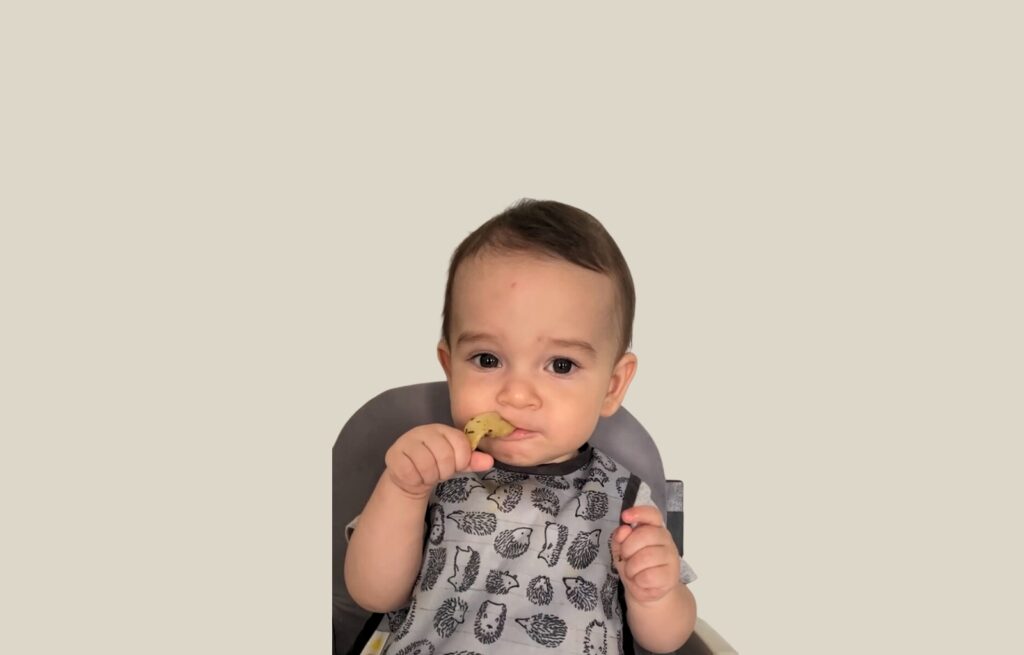 BLW aos 6 meses: O que você precisa saber