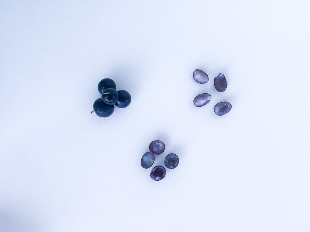 Bebê pode comer jabuticaba?