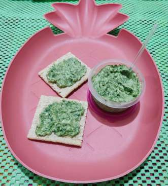 Receitas para crianças de 2 a 7 Anos: 16 fáceis e prontas 18 pate do hulk 1