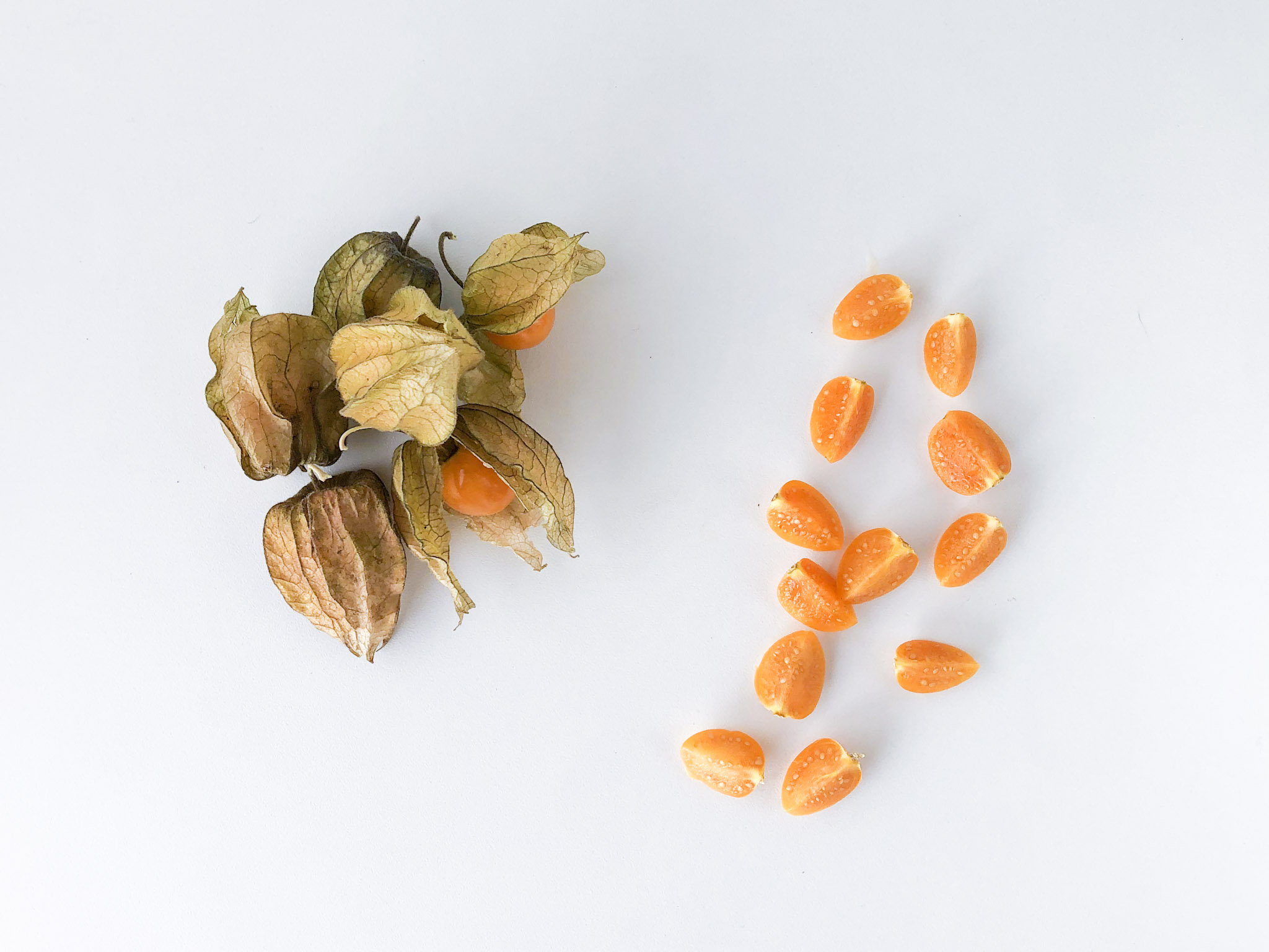 Bebê pode comer physalis?