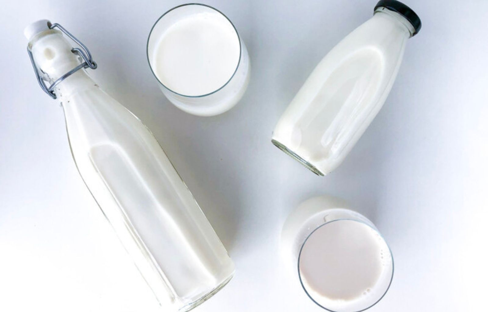 Alergia ao leite de vaca ou intolerância à lactose? Entenda as diferenças