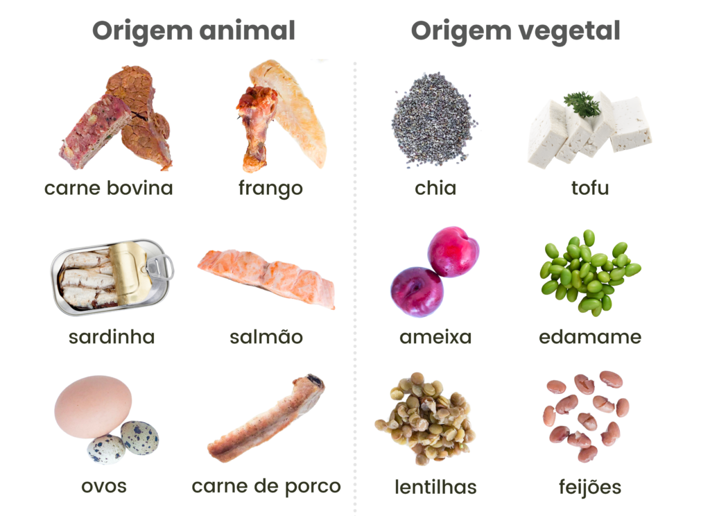 Refeições ricas em ferro - Fontes