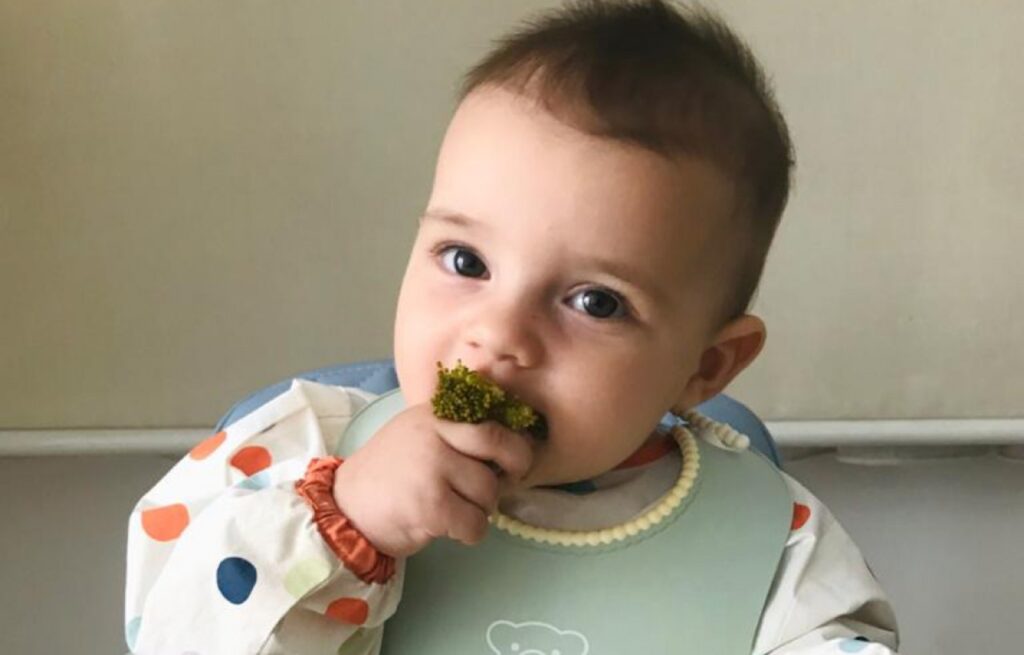 Melhores alimentos para bebês de 6 meses: guia prático da IA 2 Quando começar a introdução alimentar? Faça o quiz!