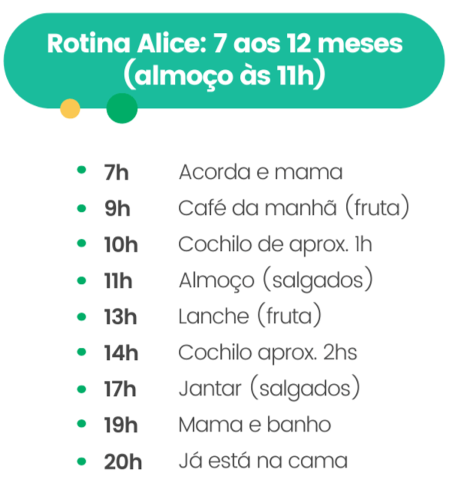 Rotina alimentar do bebê de 7 a 12 meses