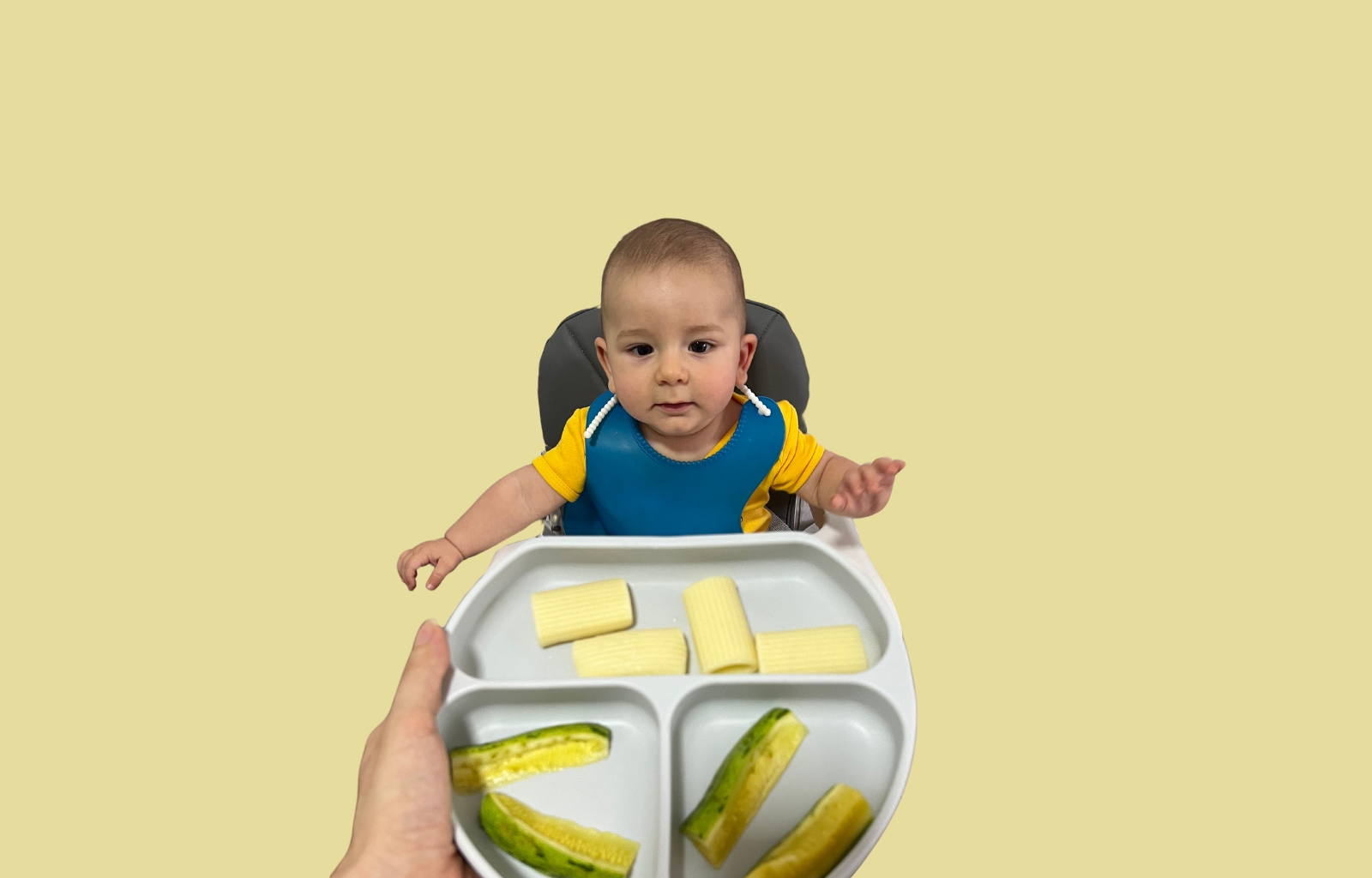 Introdução alimentar do bebê: passo a passo completo 1 Introdução alimentar do bebê: passo a passo completo