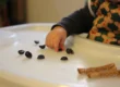 Movimento de pinça do bebê: pegando frutas com os dedos
